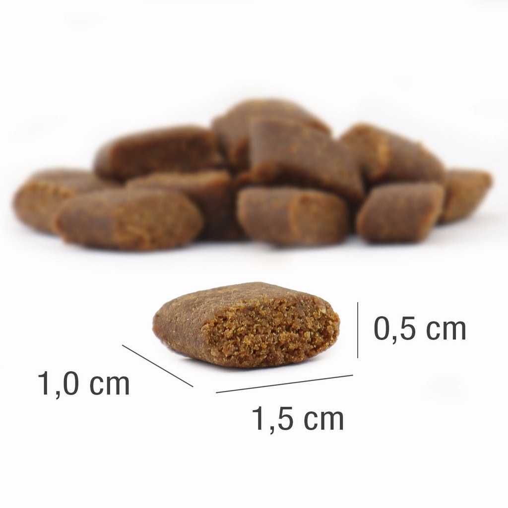 VETACTIVE Vetactive Senior, suha hrana za starejše pse, rjavi pravokotni priboljški z dimenzijami 1,5 cm x 1,0 cm x 0,5 cm so zloženi v kupček na belem ozadju; en priboljšek je v ospredju za prikaz velikosti.