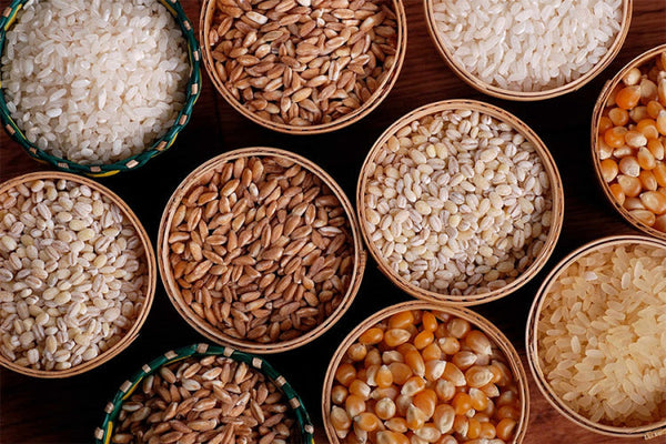 Ogljikovi hidrati v hrani za pse