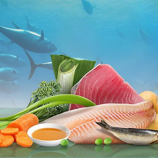 Vse o hranilih, ki jih potrebuje vaš pes