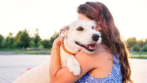 Kako veš, ali te ima pes rad?