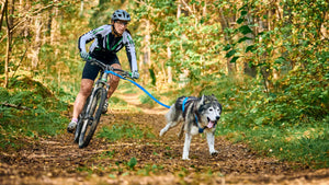 Kolesarjenje s psom: vse kar moraš vedeti