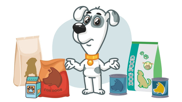 Najboljša hrana za pse