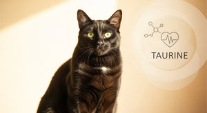 Tavrin – nevidna aminokislina, brez katere mačka ne more živeti