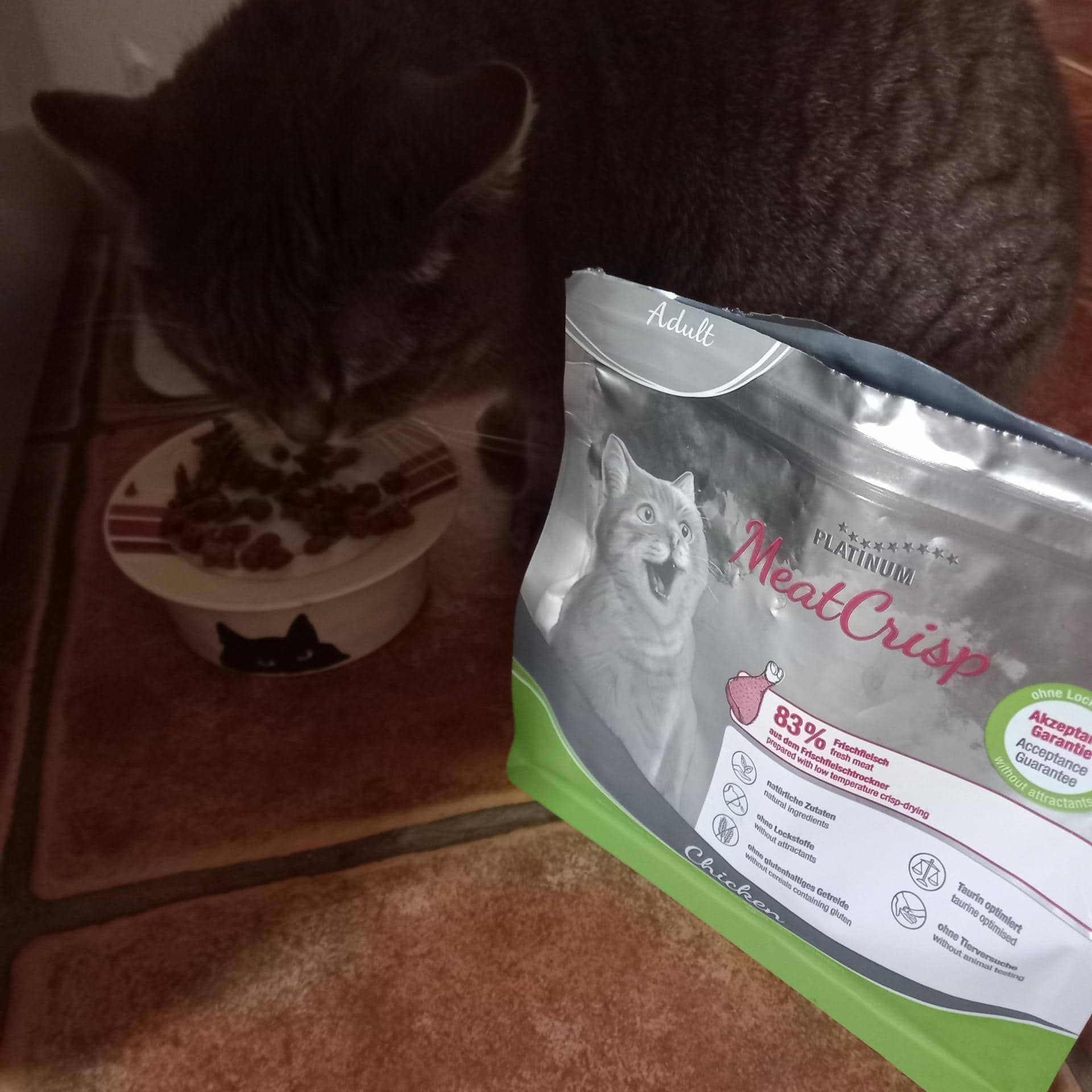 Siva mačka je suho hrano iz bele sklede s črnim motivom mačke. V ospredju je vrečka hrane za odrasle mačke Platinum MeatCrisp, ki je položena na tla s ploščicami.