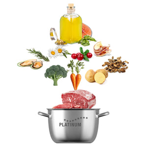 Lonec z napisom PLATINUM, nad katerim plavajo surovo meso, zelenjava, zelišča in druge sveže sestavine, kot so olje, krompir in gobe, razporejene v plasteh nad loncem.